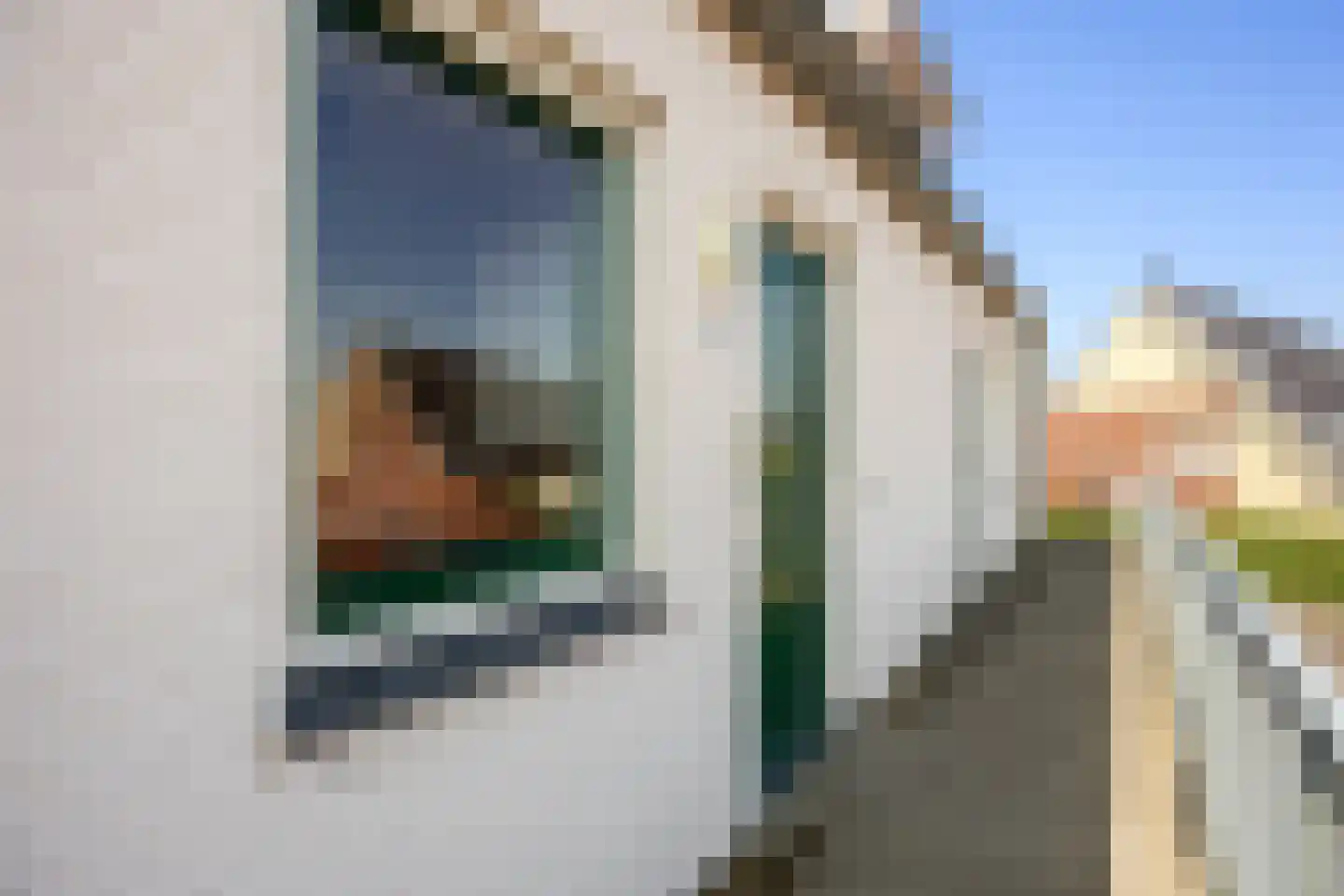 Citroenvlinder 48 Nijkerk thumbnail 6