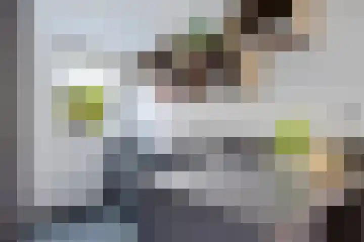Citroenvlinder 51 Hoogeveen thumbnail 17