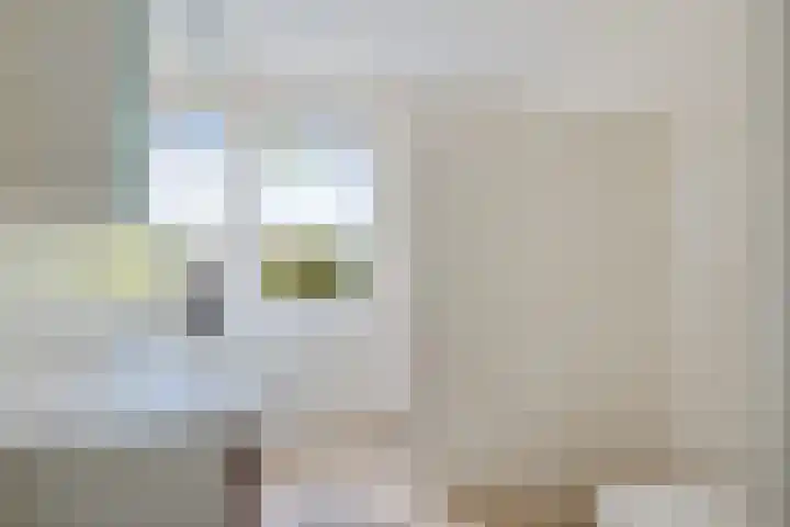 Citroenvlinder 51 Hoogeveen thumbnail 22