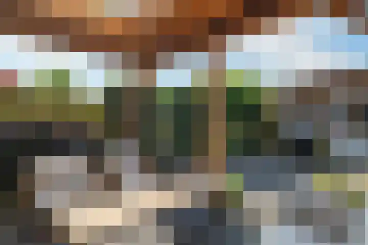 Citroenvlinder 51 Hoogeveen thumbnail 32