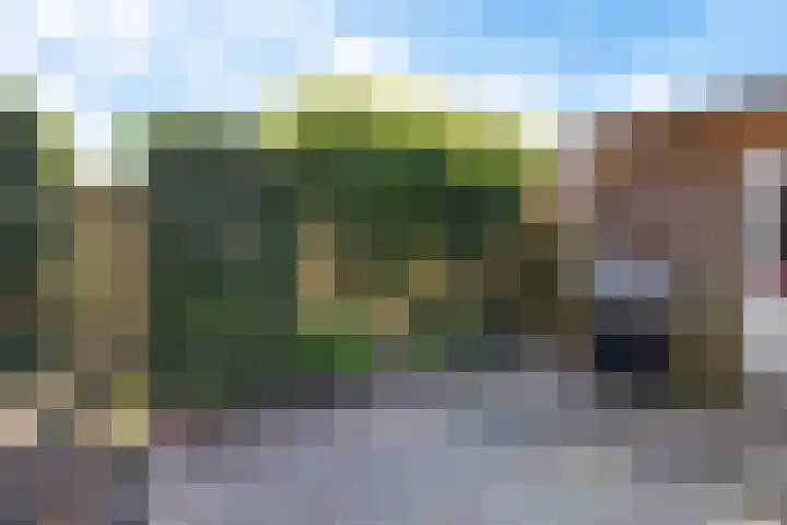 Citroenvlinder 51 Hoogeveen thumbnail 33