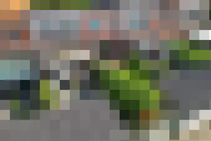 Citroenvlinder 51 Hoogeveen thumbnail 38