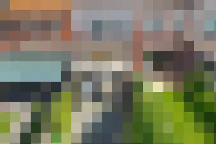 Citroenvlinder 51 Hoogeveen thumbnail 39