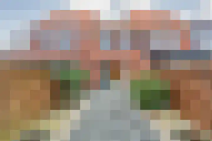 Citroenvlinder 55 Hoogeveen thumbnail 24