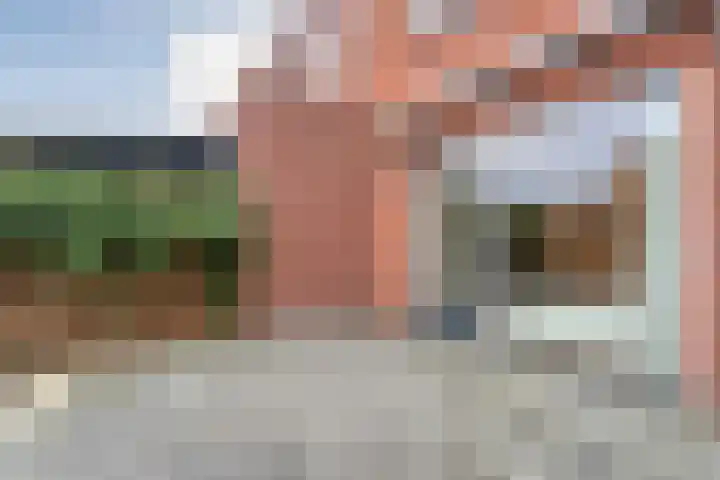 Citroenvlinder 55 Hoogeveen thumbnail 25