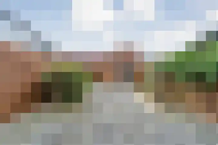 Citroenvlinder 55 Hoogeveen thumbnail 26