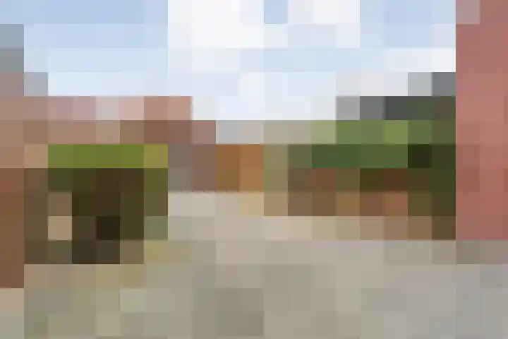 Citroenvlinder 55 Hoogeveen thumbnail 27