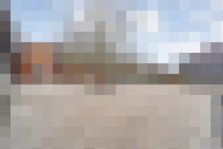 Citroenvlinder 55 Hoogeveen thumbnail 31