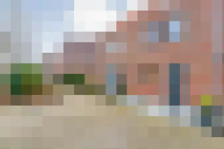 Citroenvlinder 55 Hoogeveen thumbnail 34