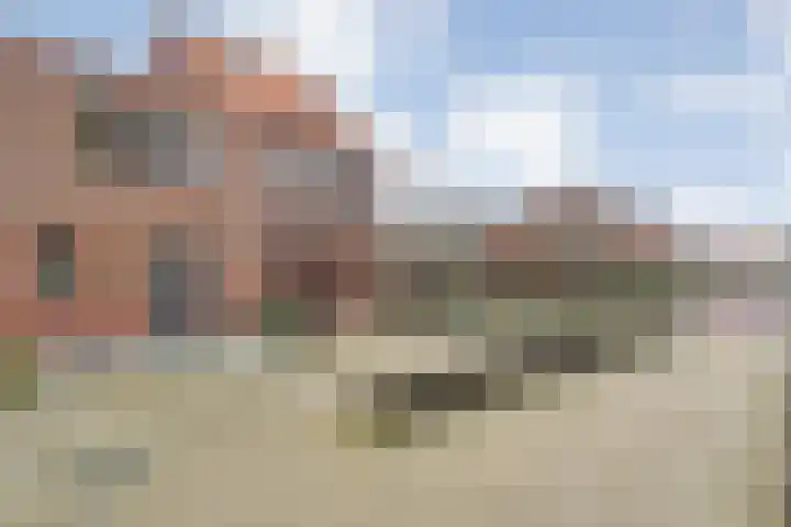 Citroenvlinder 55 Hoogeveen thumbnail 35