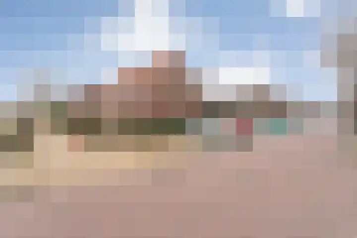 Citroenvlinder 55 Hoogeveen thumbnail 36