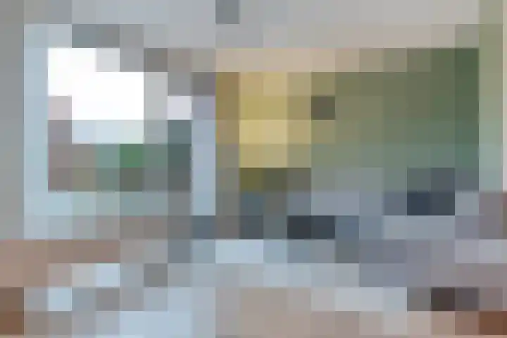 Citroenvlinder 55 Hoogeveen thumbnail 5