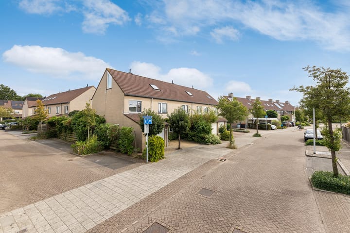 Citroenvlinder 56 in Zwolle Foto