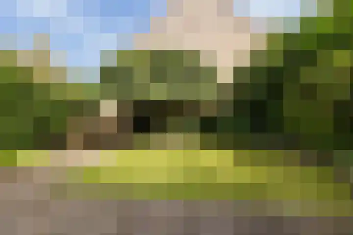 Citroenvlinder 56 Zwolle thumbnail 11