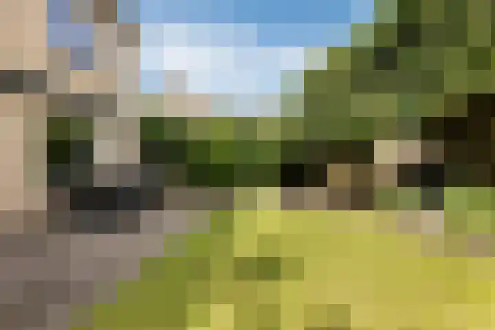 Citroenvlinder 56 Zwolle thumbnail 13