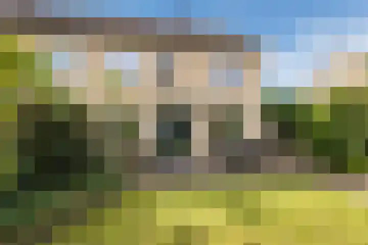 Citroenvlinder 56 Zwolle thumbnail 14