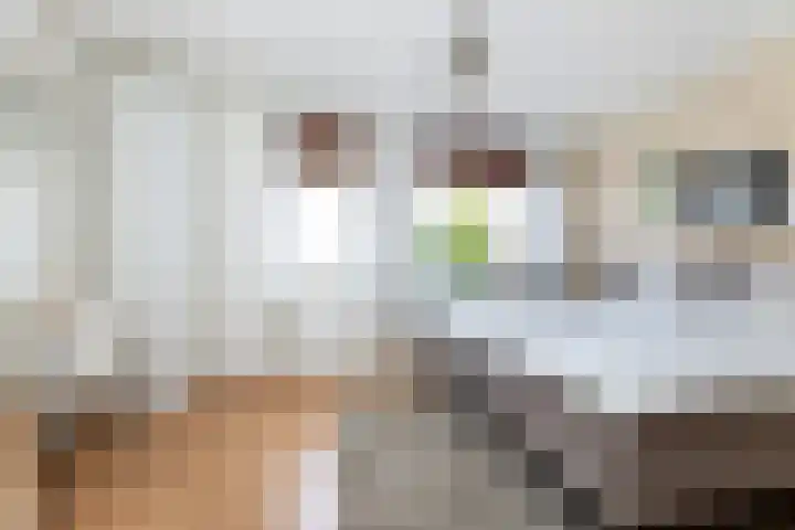 Citroenvlinder 56 Zwolle thumbnail 18
