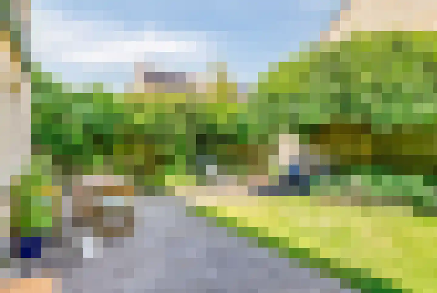 Citroenvlinder 56 Zwolle thumbnail 26