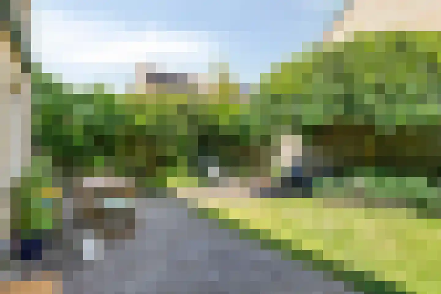 Citroenvlinder 56 Zwolle thumbnail 27