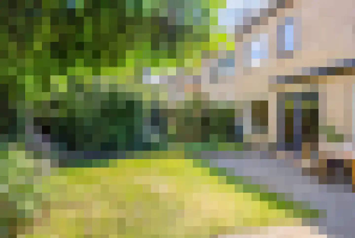 Citroenvlinder 56 Zwolle thumbnail 27