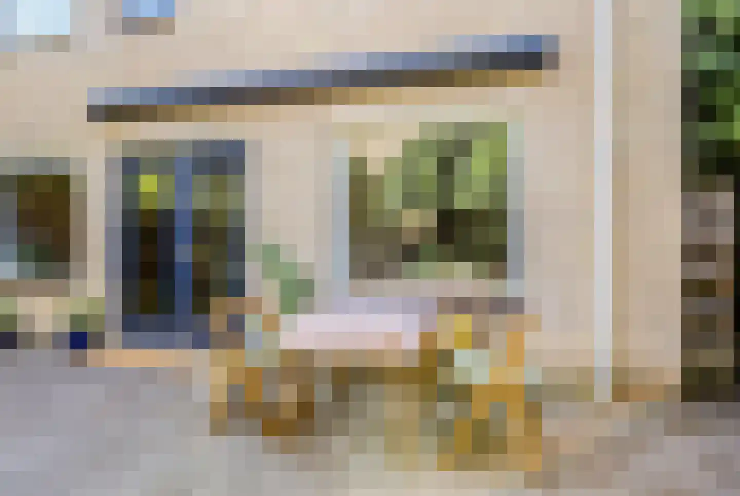 Citroenvlinder 56 Zwolle thumbnail 28