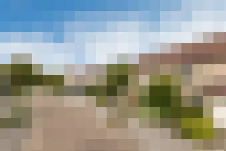 Citroenvlinder 56 Zwolle thumbnail 30