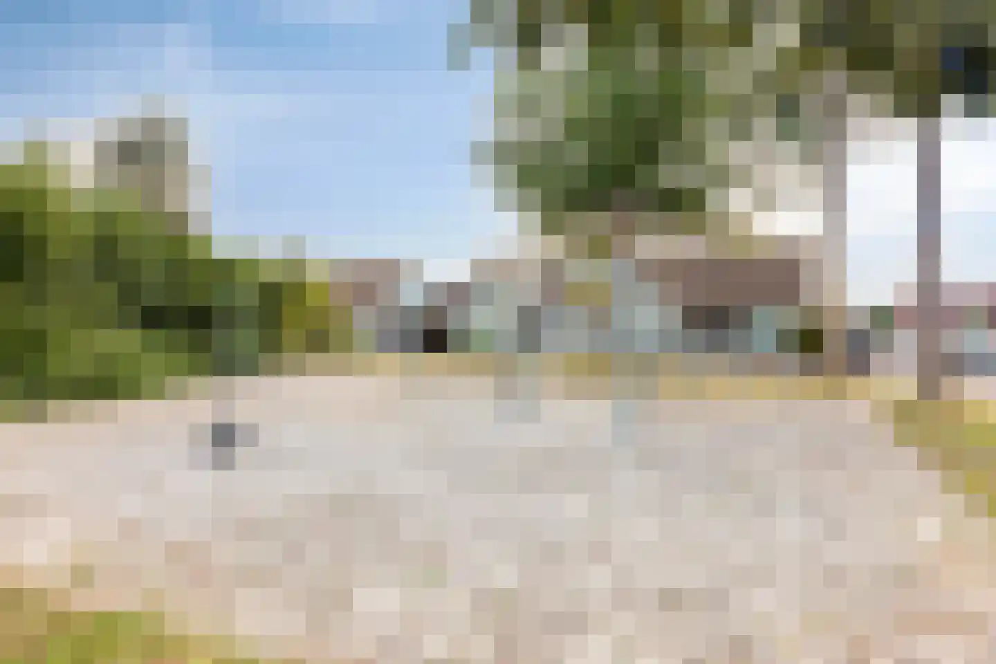 Citroenvlinder 56 Zwolle thumbnail 32