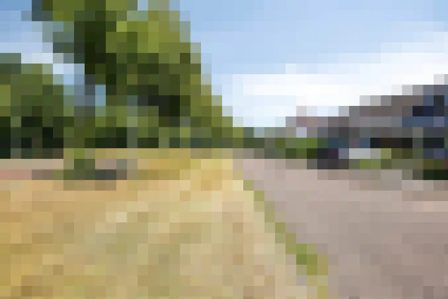 Citroenvlinder 56 Zwolle thumbnail 33