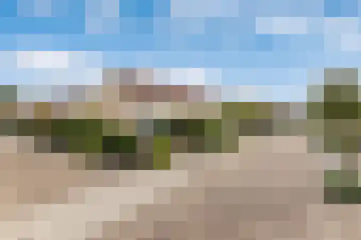 Citroenvlinder 56 Zwolle thumbnail 34
