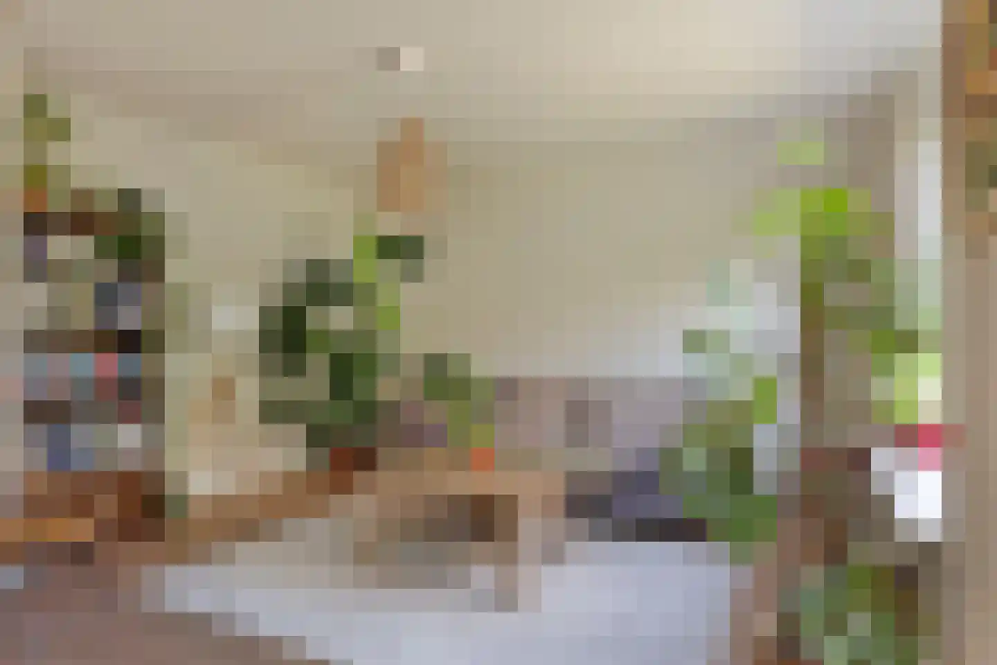 Citroenvlinder 56 Zwolle thumbnail 6