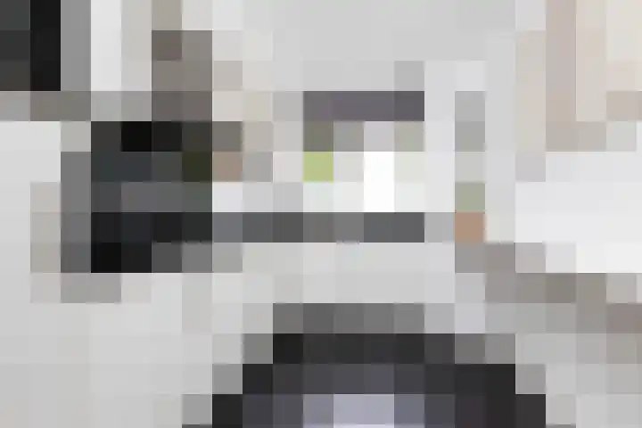 Citroenvlinder 56 Zwolle thumbnail 8
