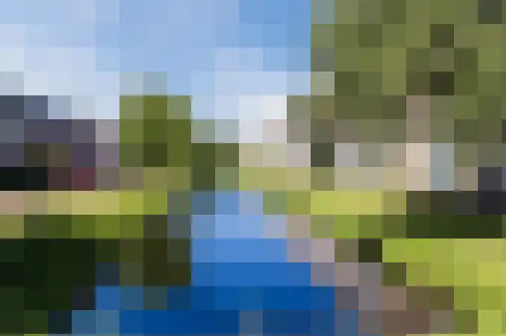 Citroenvlinder 6 Hellevoetsluis thumbnail 44