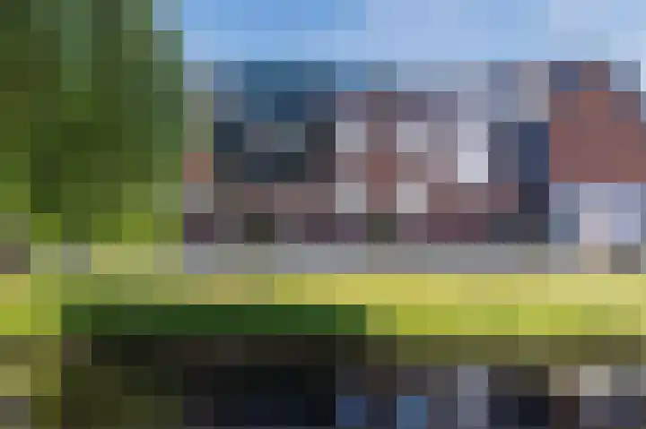 Citroenvlinder 6 Hellevoetsluis thumbnail 6