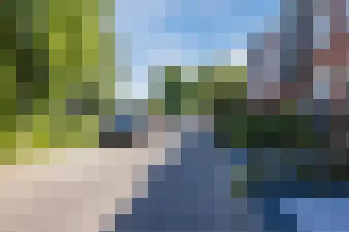 Citroenvlinder 6 Hellevoetsluis thumbnail 9