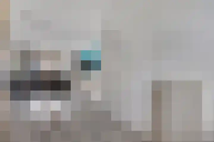 Citroenvlinder 61 Hoogeveen thumbnail 22