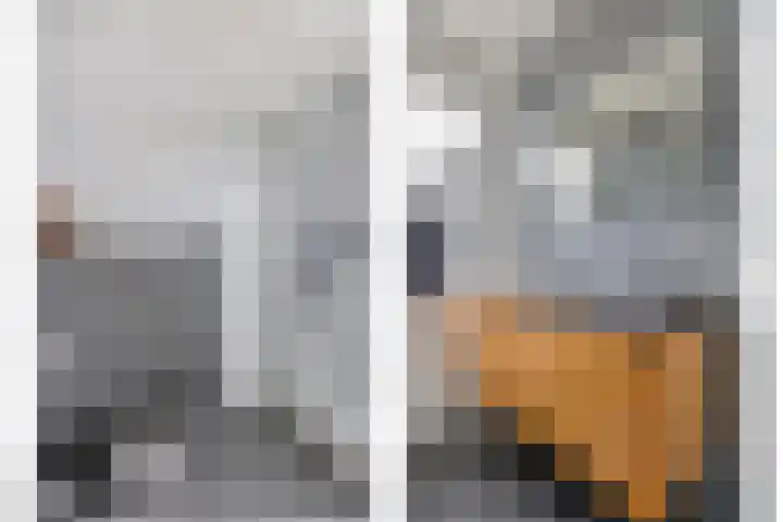 Citroenvlinder 61 Hoogeveen thumbnail 31
