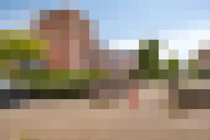 Citroenvlinder 61 Hoogeveen thumbnail 6