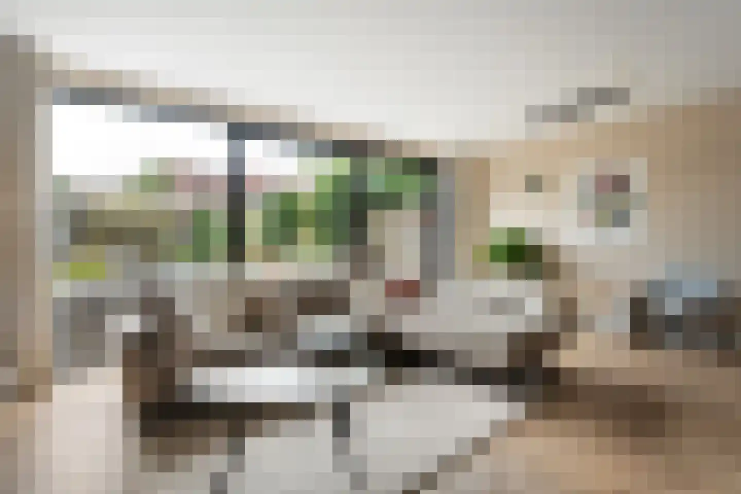 Citroenvlinder 66 Hoogeveen thumbnail 10