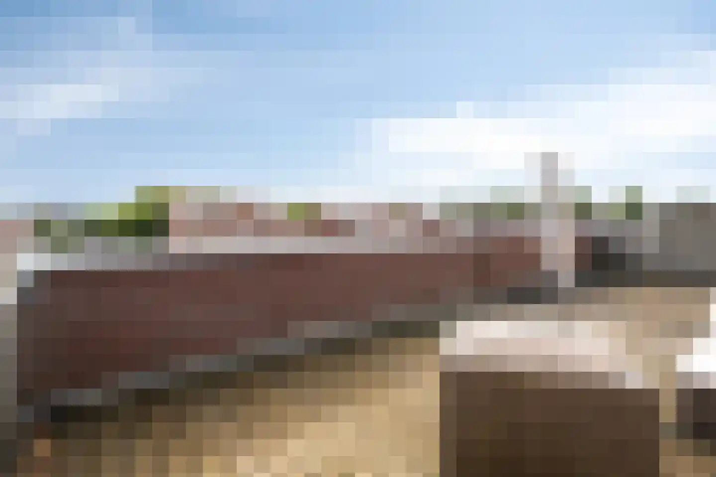 Citroenvlinder 66 Hoogeveen thumbnail 39