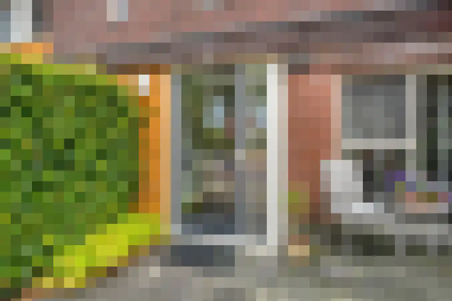 Citroenvlinder 66 Hoogeveen thumbnail 4