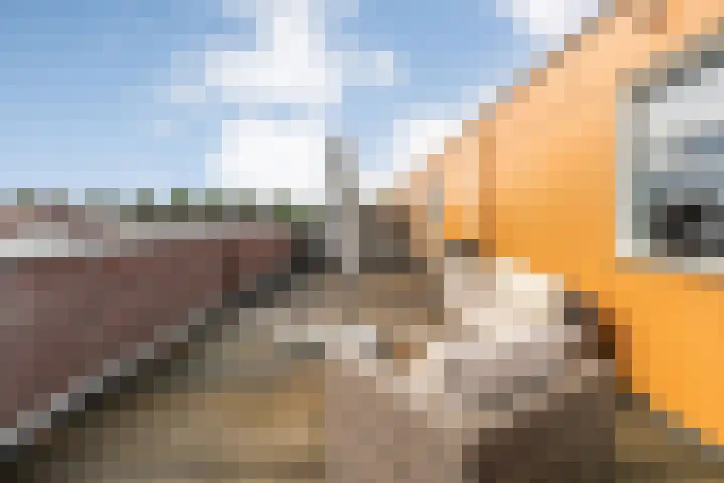 Citroenvlinder 66 Hoogeveen thumbnail 40