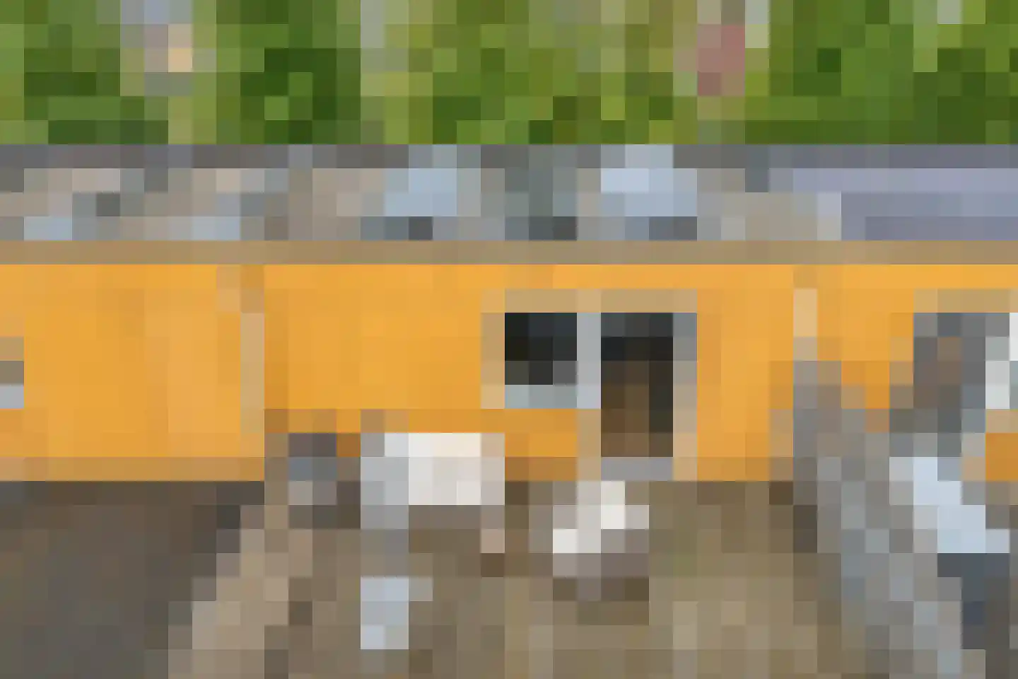 Citroenvlinder 66 Hoogeveen thumbnail 42