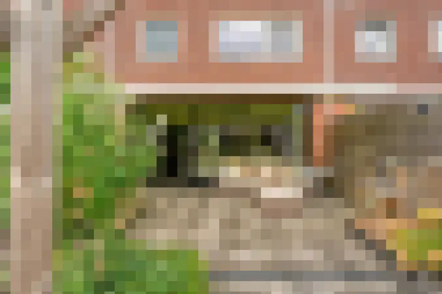 Citroenvlinder 66 Hoogeveen thumbnail 44