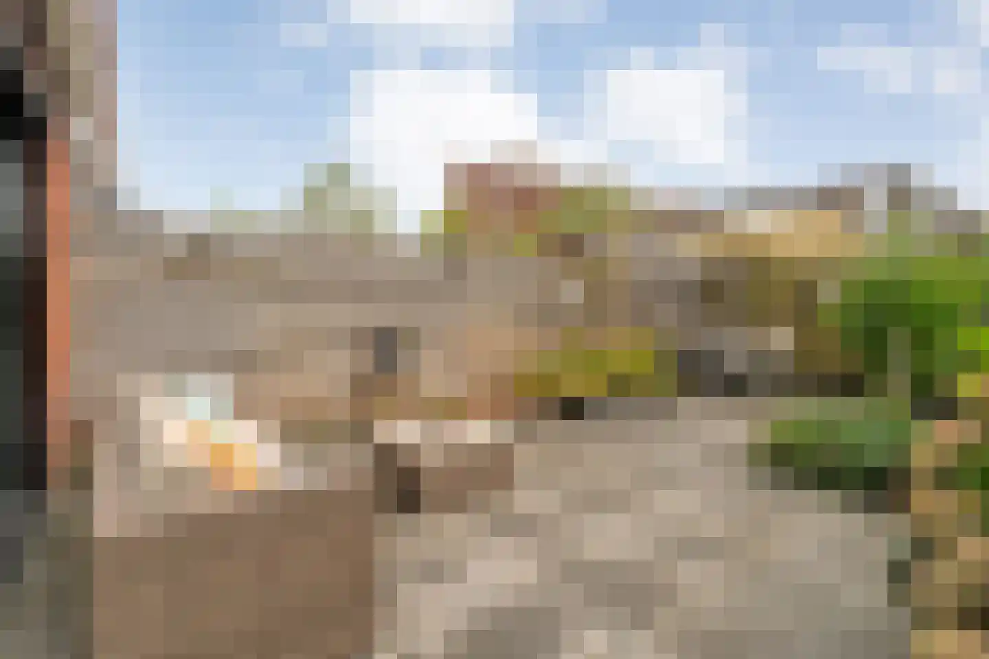 Citroenvlinder 66 Hoogeveen thumbnail 45