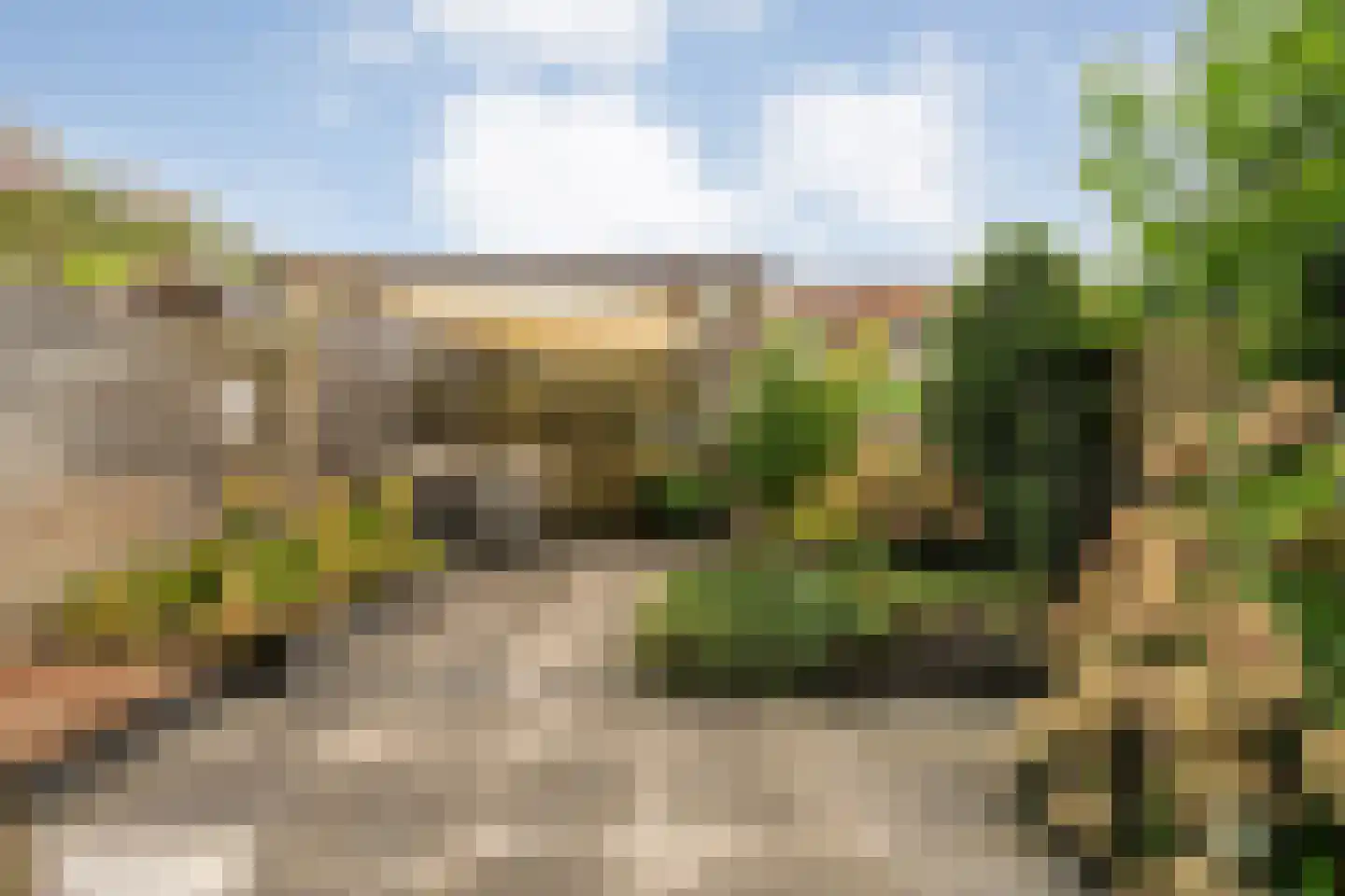 Citroenvlinder 66 Hoogeveen thumbnail 46