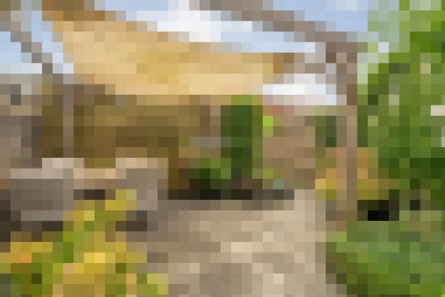Citroenvlinder 66 Hoogeveen thumbnail 47