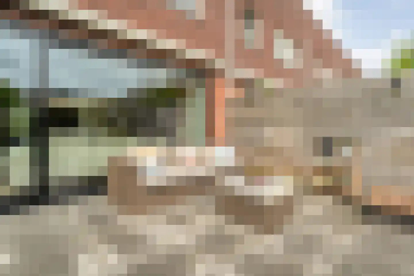 Citroenvlinder 66 Hoogeveen thumbnail 48