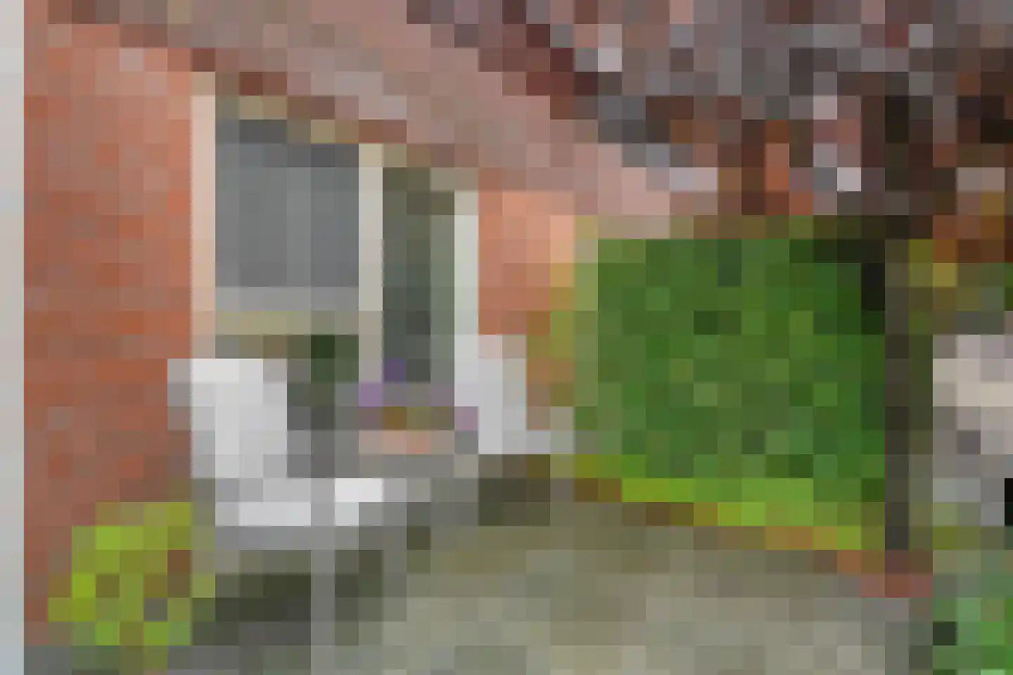 Citroenvlinder 66 Hoogeveen thumbnail 5