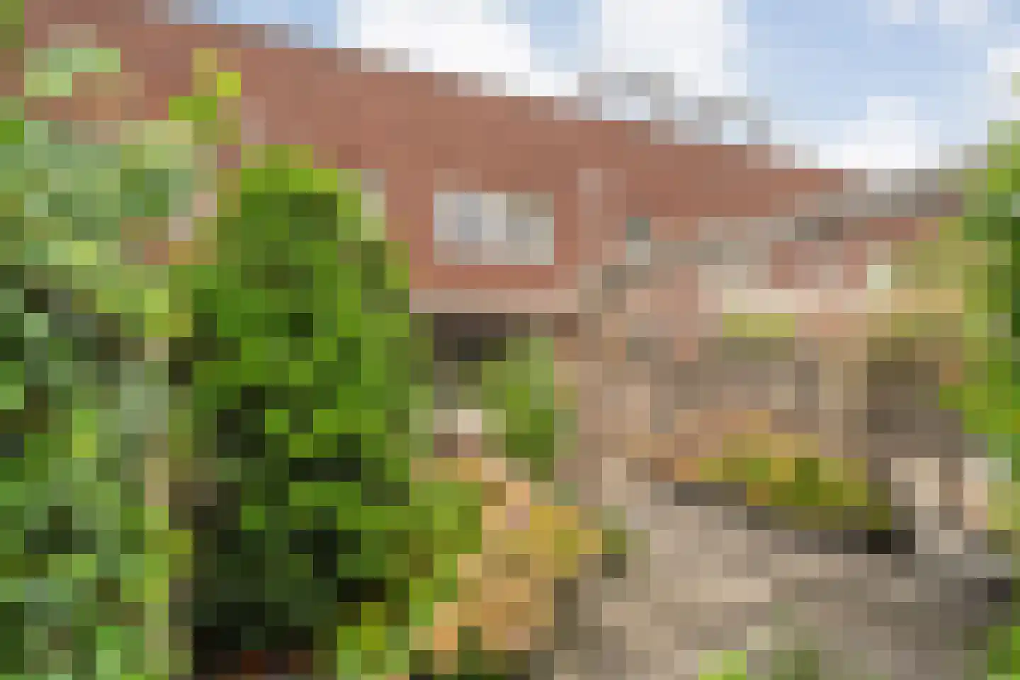 Citroenvlinder 66 Hoogeveen thumbnail 50