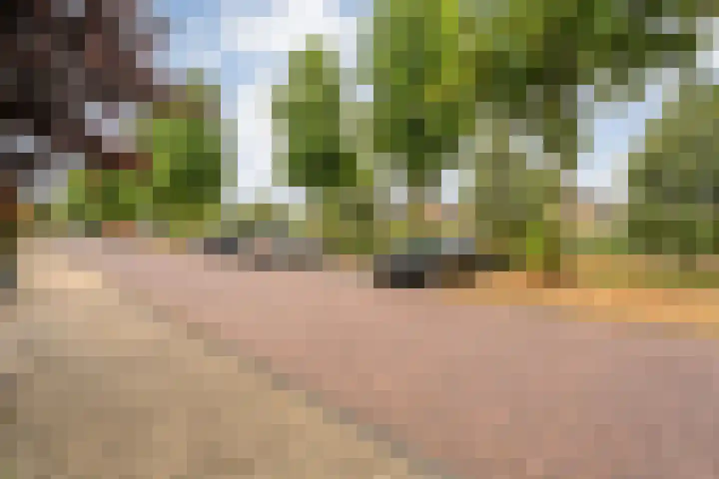 Citroenvlinder 66 Hoogeveen thumbnail 52